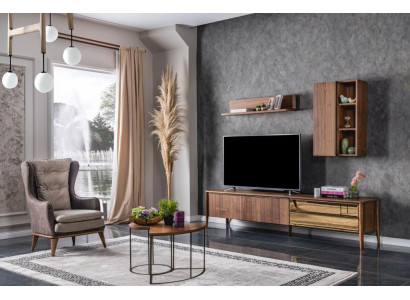 TV-cabinet Lowboard Living room Set tv stand Sideboard Shelves Wall unit Modern Wood new